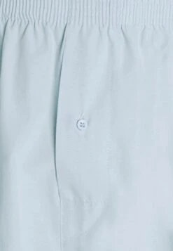 Pier One 5 Pack - Boxershort - Light Blue/White 13 Pier One 5 Pack - Boxershort - Light Blue/White -Pier One Verkoopwinkel 8d526a81d413439291c57bcecfa7d443